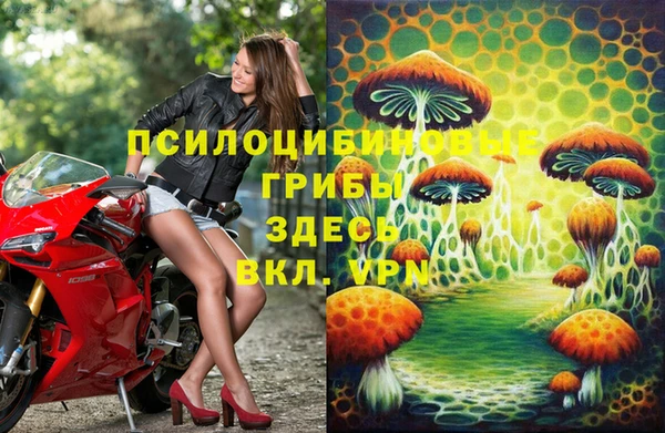 PSILOCYBIN Навашино