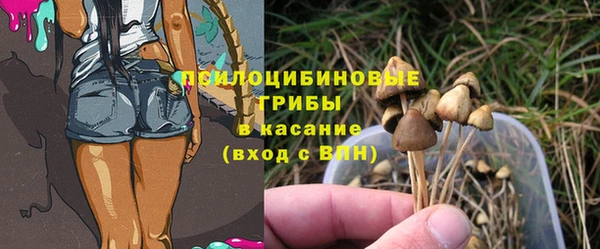 PSILOCYBIN Навашино