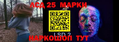 мяу мяу мука Беслан