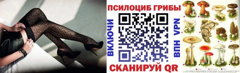 наркотики  Печора  Псилоцибиновые грибы мицелий 